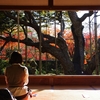 18th京都紅葉の旅2025⑫　～宝泉院の庭園を巡る～