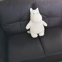座席後ろのポリ袋