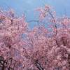 東京都 足立区 足立の花火 ２０２３年 花火打ち上げ時間は？ 