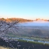 1990 雲海のような絶景　朝霧の散歩道