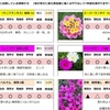 公共花壇に植えるお花の品種 特性一覧
