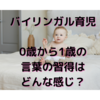 ハーフの子供の0～1歳頃の言語習得状況。