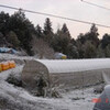 　最終日に雪
