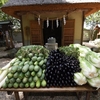 第1353話　日本で唯一漬物の神様を祀る「萱津神社」