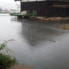 久しぶりの雨