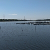 手賀沼の風景―Scenery of Lake Teganuma(December 23, 2021-No.34）