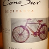 Cono Sur Pinot Noir Varietal 2013