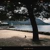 Photo No.1876 / 感染3日目