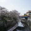 2021/04/01 王子本町散歩 04 紅葉橋/金剛寺/松橋弁財天洞窟跡/音無もみじ緑地/滝野川橋/憲兵の詰所/滝野川住宅