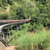 キュランダ観光〜キュランダ列車とSkyrailの旅〜