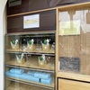 阪神国道｜パイナップルケーキのお店「鳳梨（フォン・リー）」がオープンしています