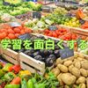 【中学受験】地理の学習が面白くなるアイデアその１　フィールドワーク