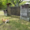 公園でお散歩からの～、滝の見えるカフェへ行こう。