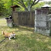 公園でお散歩からの～、滝の見えるカフェへ行こう。