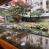 心の雑草　2024年11月まとめ