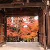 京都紅葉の旅　～2日目～