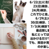 毎日の通院と次の手術