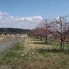 奥州海道（2）白沢河原～氏家宿～喜連川宿～喜連川本町　その３