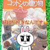 大塚屋のはいから横丁と昭和のコットン手芸本で懐かしトキメキタイム♪