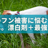 犬のフン被害に悩むあなたへ。漂白剤＋αの最強対策セットを公開