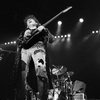 TOTO - 1980-1988 Bootleg File【Steve Lukather】