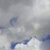 寒い冬空に青色の希望が！