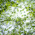 Nature snap ＃165