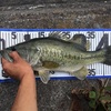 琵琶湖遠征　5日目　ビッグバスが釣りたいの！編