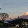 縁起良すぎ！濃厚でめちゃくちゃ美味しい！もらって嬉しい富士山アポロが大粒で本当におすすめ！イチゴの味がなんと３倍！