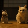 猫侍　シーズン1（前半）