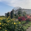 ローズガーデン  荒川区立宮前公園