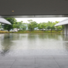 大人の修学旅行2日目【佐川美術館】の美しさに浄化される