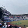 マリンスタジアム観戦