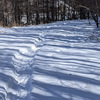 雪道ウォーキング