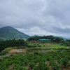 昼金峰山→川内