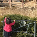ちゃんママの東京育児記録