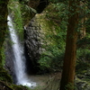 白露の加持ヶ峰遊山　木の実