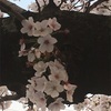自文学（使うと活（い）かす）