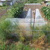自家の畑で農作業