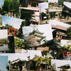 フィルム写真はコスパが悪い？