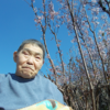 特養秋桜  ３月