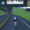 Zwift 353 Tour de Zwift Stage 7 short(C)