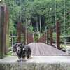 水と緑の杜公園へ行く