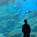 パンナの学生生活