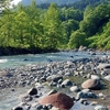 6月の渓流