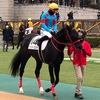 東京競馬12R パドック直前予想　◎14 アンダープロット　がんばれぇぇぇぇぇ！！