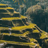 Ubud Tour - One Day Trip to Visit Ubud Places of Interest