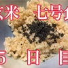 整う？玄米断食 の巻(5日目)