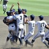 　第９５回全国高校野球選手権記念大会：みんなはルールを忘れて楽しんだ、と思う。（追記あり）