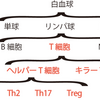 医療用語49.キラーT細胞50.ヘルパーT細胞